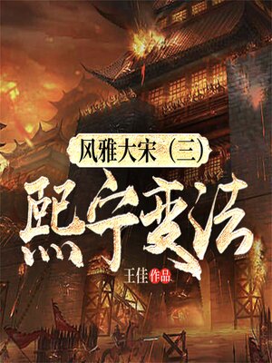 cover image of 风雅大宋（三）：熙宁变法